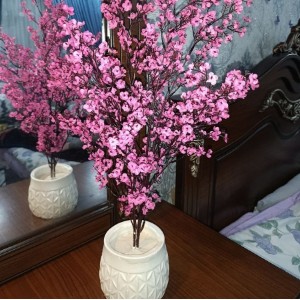 GUL SAKURA